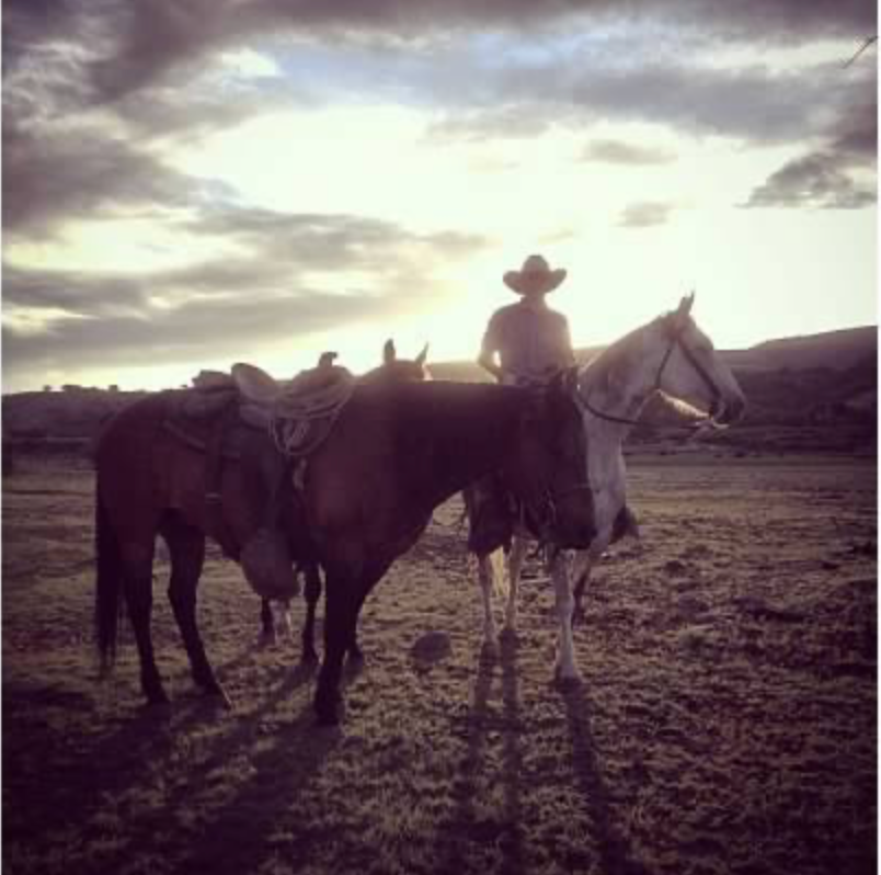 When Supply Chains Failed, Local Food Mattered More