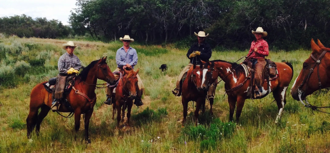 Stewards of the Land – The Legacy of the LaValley Family