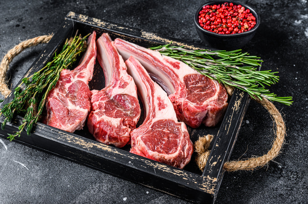 Lamb