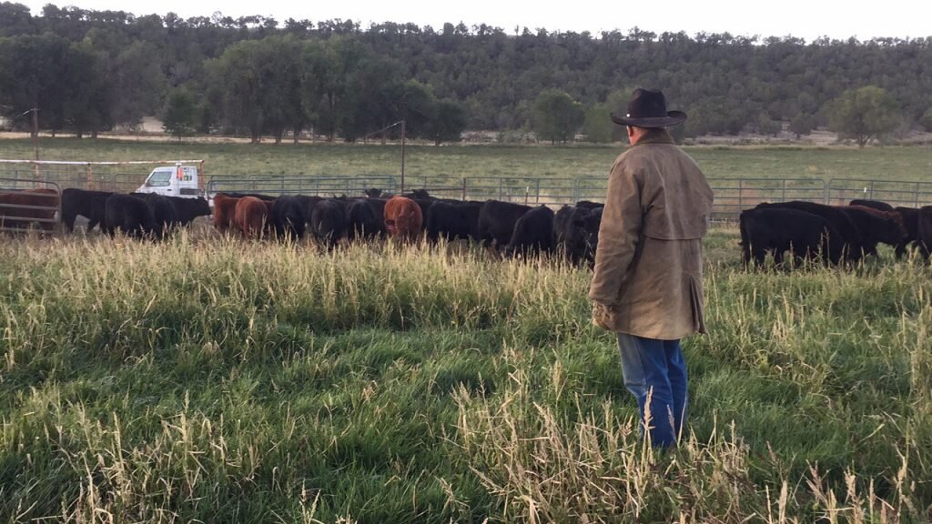 Burns Ranch
