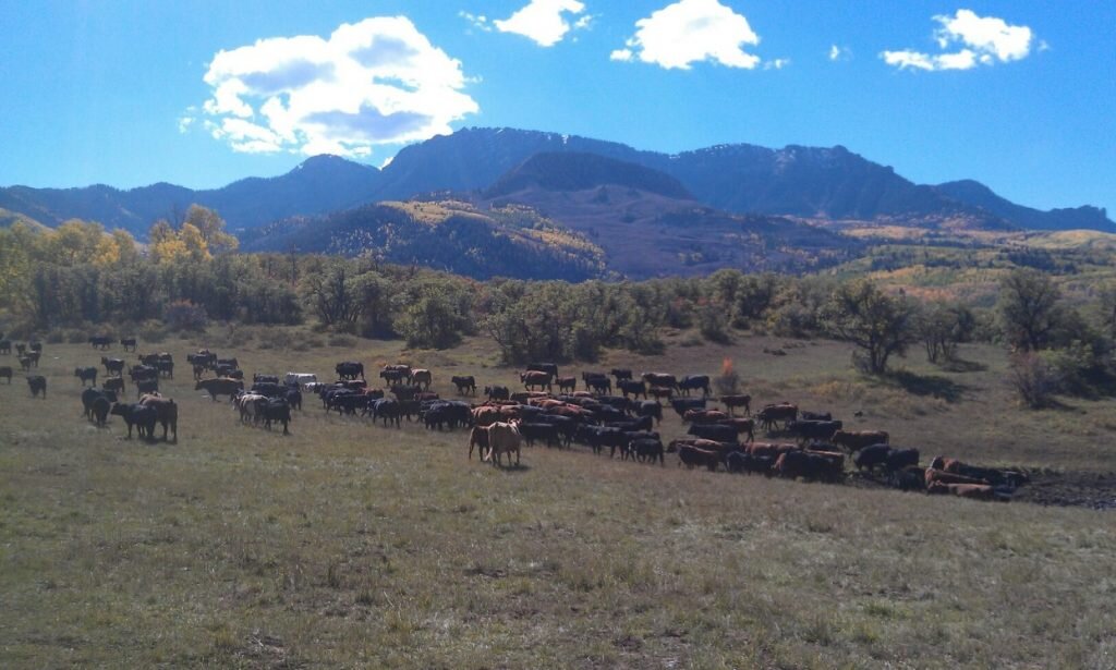 Peebles Ranch