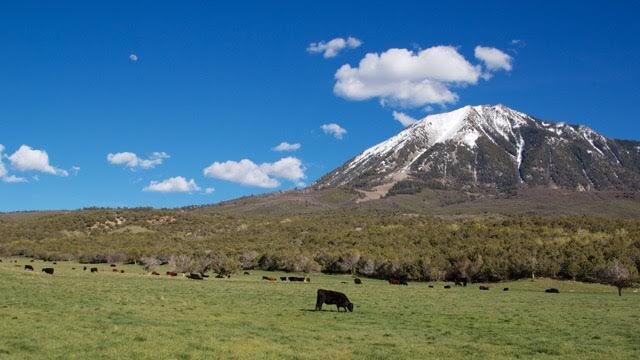 Mt. Lamborn Ranches