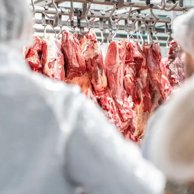 Meat Processing Plant