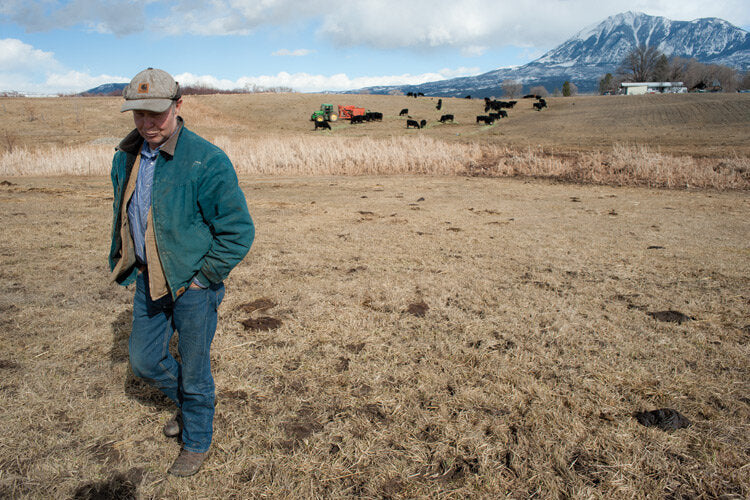 Smith Ranch