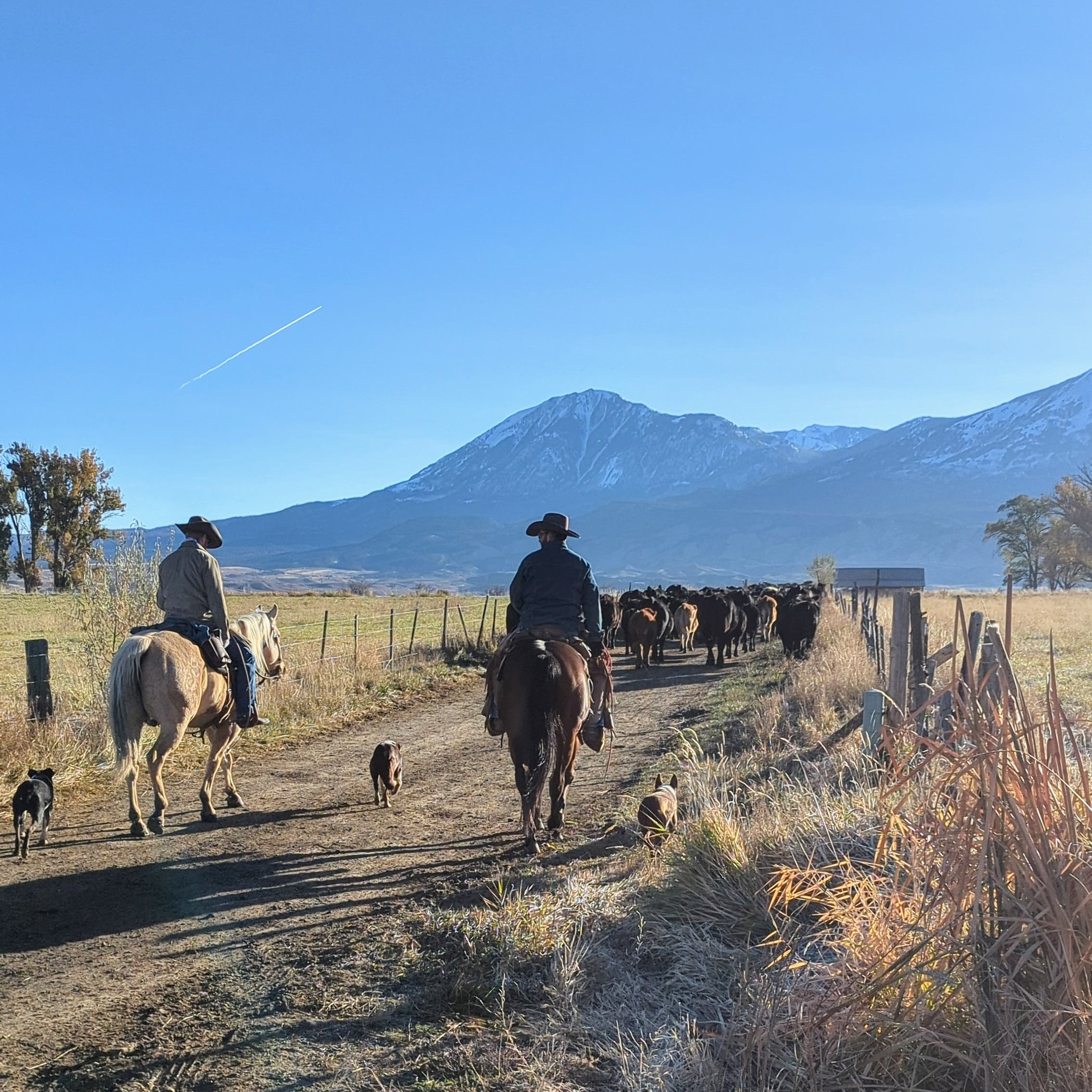 Balcony Ranch