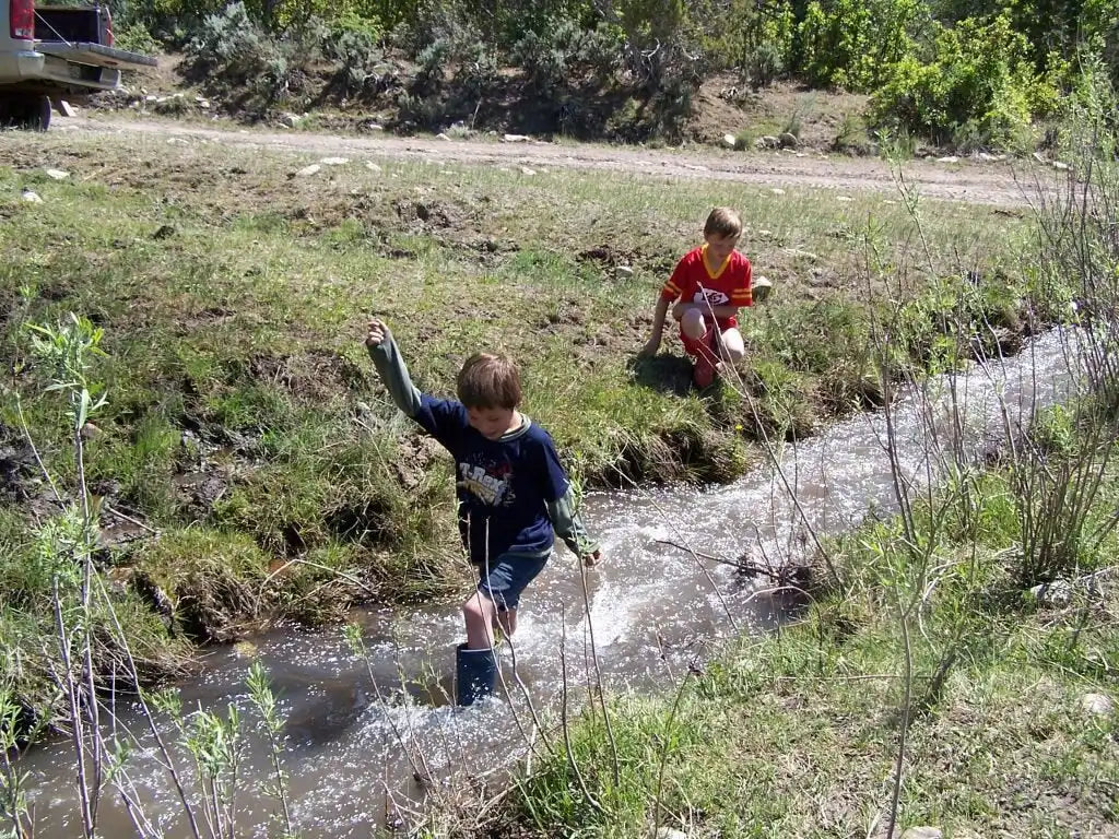 Blue rubber boots with white laces and green soles.