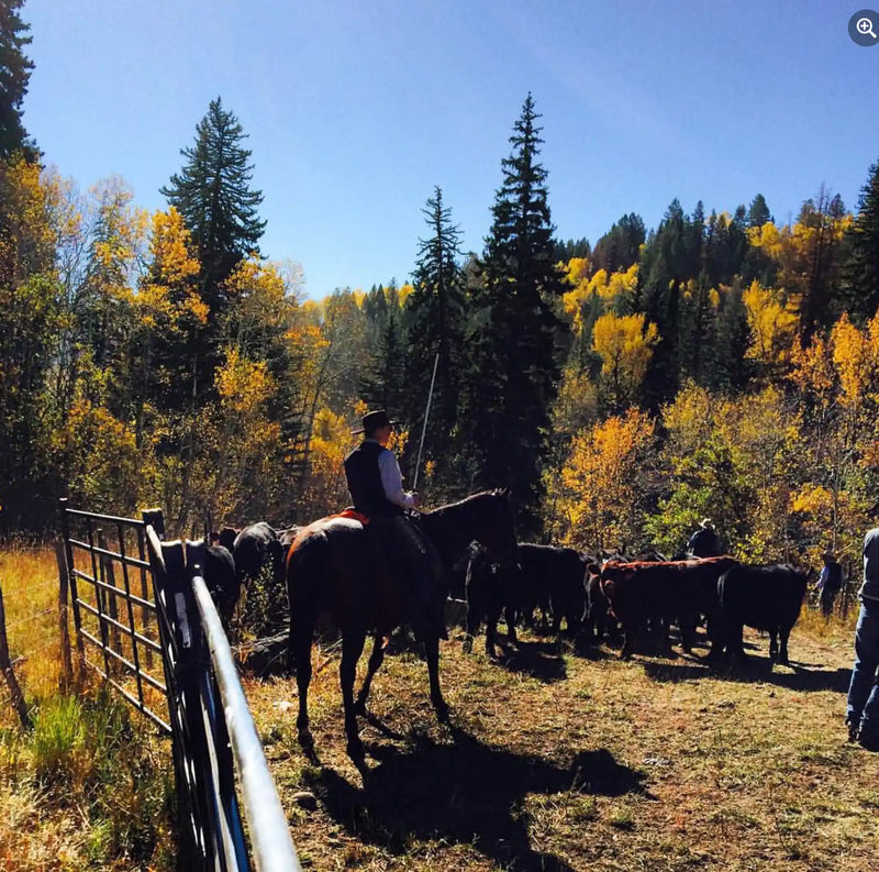 Brown horse saddle with black leather straps and silver stirrups.