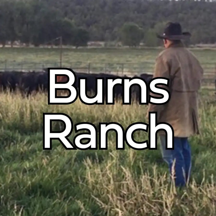 Cowboy hat with black band and brown leather brim.