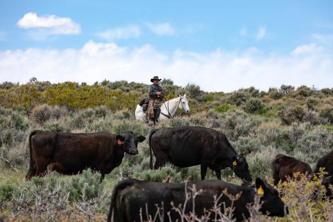 Cowboy hat with wide brim and band, black leather material.