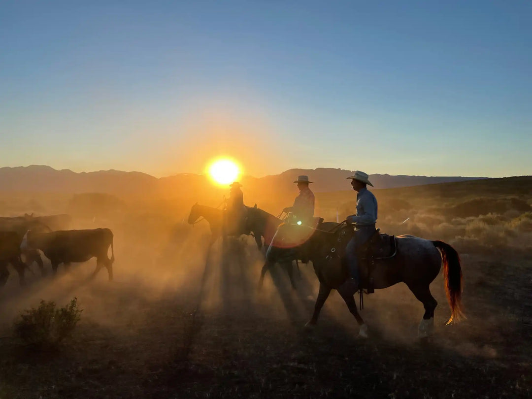 Cowboy hat with wide brim and band, brown leather material.