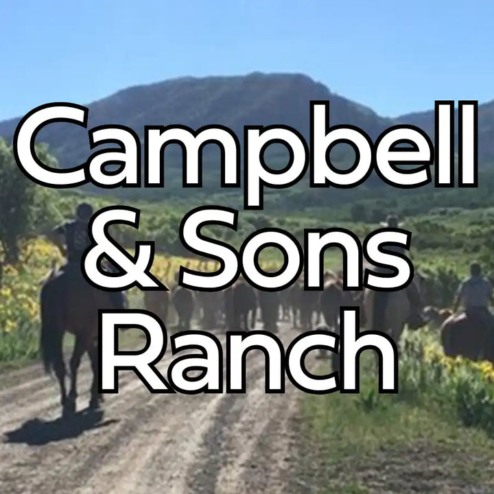 Cowboy hat with wide brim and bandana: red, white, blue patterned scarf worn around neck