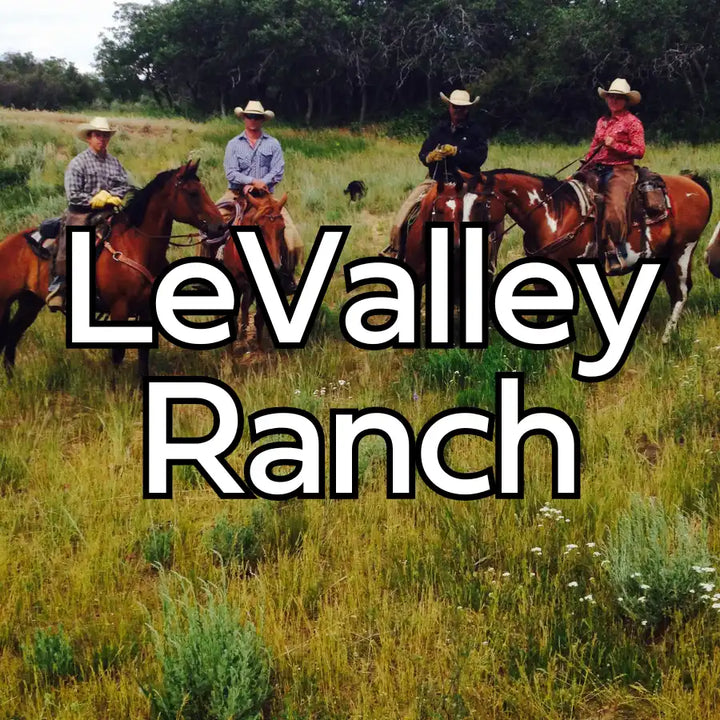 Cowboy hat with wide brim and leather band, brown leather strap.
