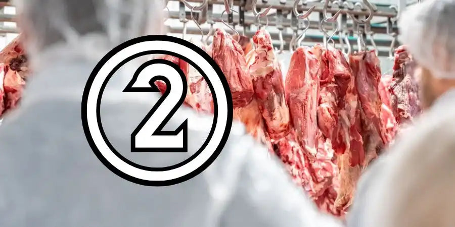 Raw beef carcass hanging in a processing facility.